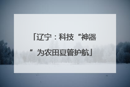 辽宁：科技“神器”为农田夏管护航
