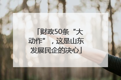 财政50条“大动作”，这是山东发展民企的决心