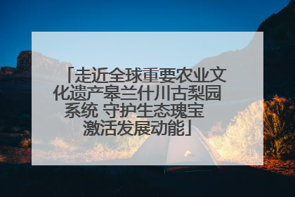 走近全球重要农业文化遗产皋兰什川古梨园系统 守护生态瑰宝 激活发展动能
