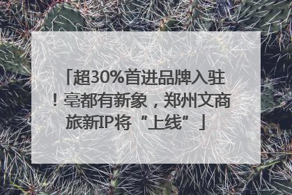 超30%首进品牌入驻！亳都有新象，郑州文商旅新IP将“上线”
