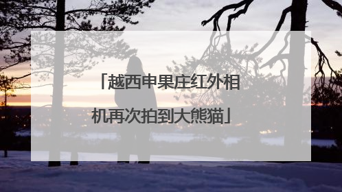 越西申果庄红外相机再次拍到大熊猫