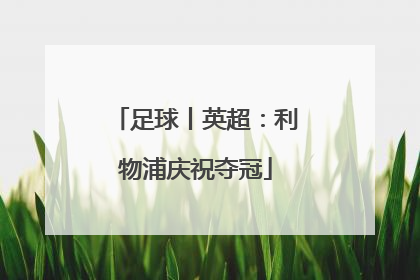 足球丨英超：利物浦庆祝夺冠