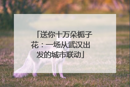 送你十万朵栀子花：一场从武汉出发的城市联动