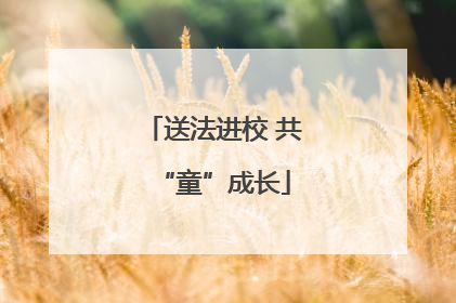 送法进校 共“童”成长