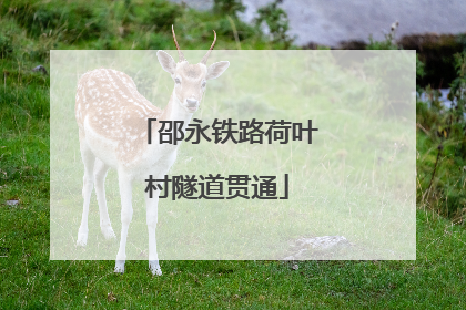 邵永铁路荷叶村隧道贯通