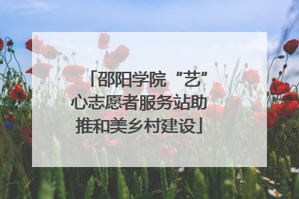 邵阳学院“艺”心志愿者服务站助推和美乡村建设