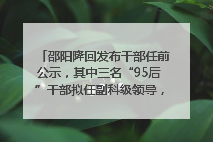 邵阳隆回发布干部任前公示，其中三名“95后”干部拟任副科级领导，均系硕士选调生