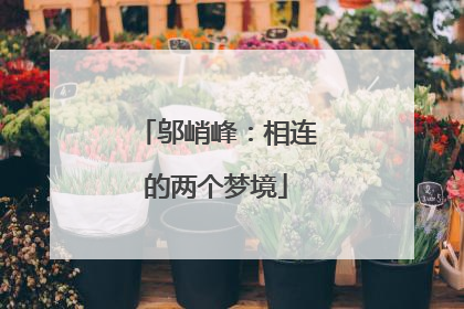 邬峭峰：相连的两个梦境