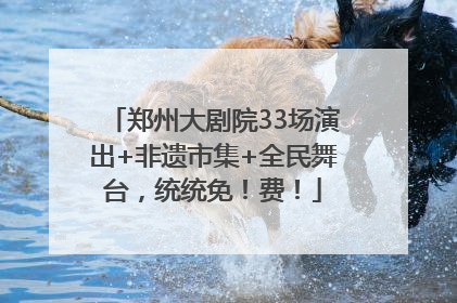 郑州大剧院33场演出+非遗市集+全民舞台，统统免！费！