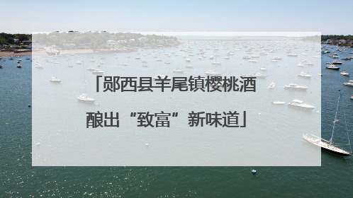 郧西县羊尾镇樱桃酒酿出“致富”新味道
