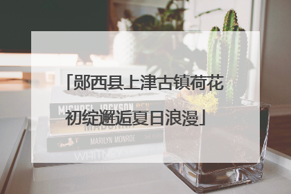 郧西县上津古镇荷花初绽邂逅夏日浪漫