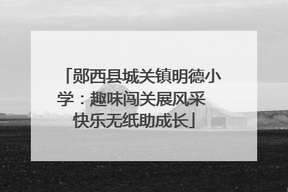 郧西县城关镇明德小学：趣味闯关展风采 快乐无纸助成长