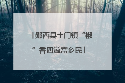 郧西县土门镇“椒”香四溢富乡民