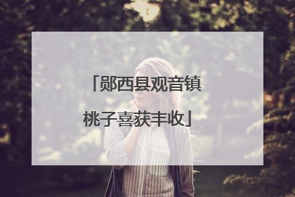 郧西县观音镇桃子喜获丰收