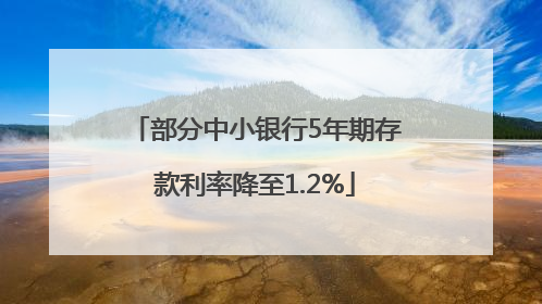 部分中小银行5年期存款利率降至1.2%