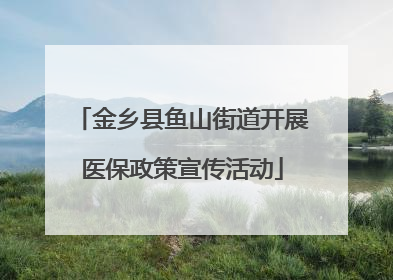 金乡县鱼山街道开展医保政策宣传活动
