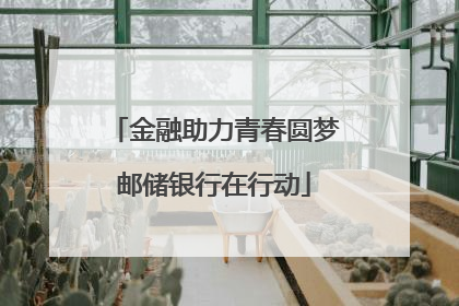 金融助力青春圆梦邮储银行在行动