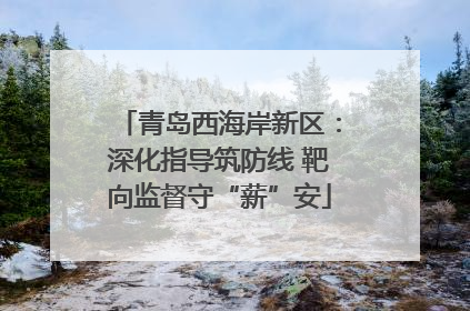 青岛西海岸新区：深化指导筑防线 靶向监督守“薪”安
