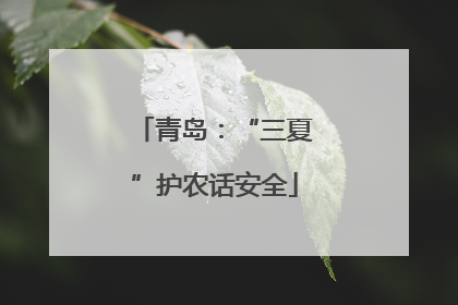 青岛：“三夏”护农话安全