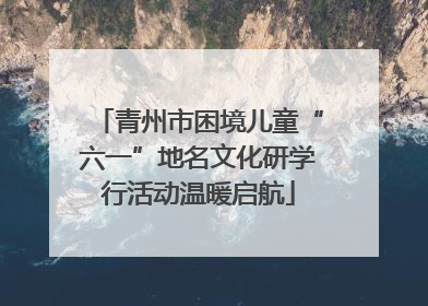 青州市困境儿童“六一”地名文化研学行活动温暖启航