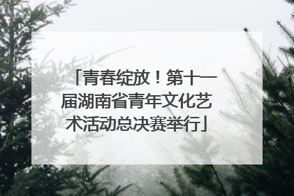 青春绽放！第十一届湖南省青年文化艺术活动总决赛举行