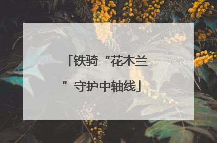 铁骑“花木兰”守护中轴线