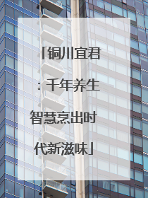 铜川宜君：千年养生智慧烹出时代新滋味