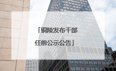 铜陵发布干部任前公示公告