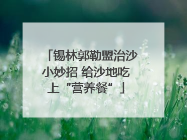 锡林郭勒盟治沙小妙招 给沙地吃上“营养餐”