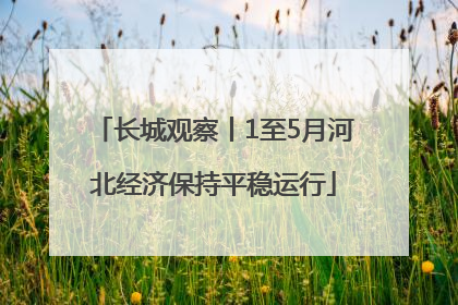 长城观察丨1至5月河北经济保持平稳运行
