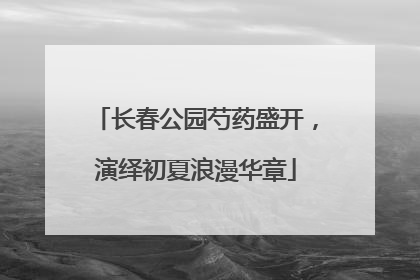 长春公园芍药盛开，演绎初夏浪漫华章