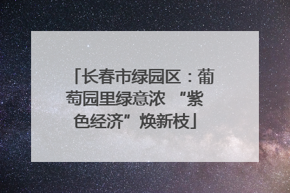 长春市绿园区：葡萄园里绿意浓 “紫色经济”焕新枝