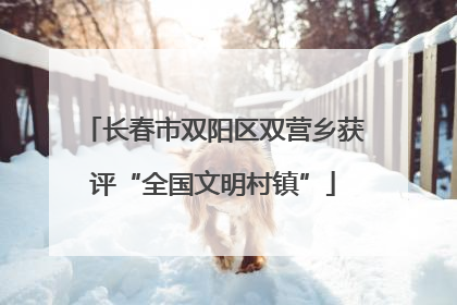 长春市双阳区双营乡获评“全国文明村镇”