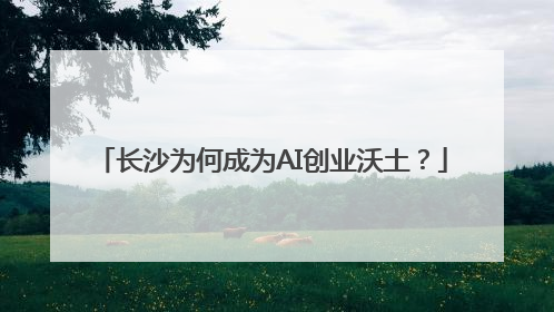 长沙为何成为AI创业沃土？