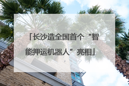 长沙造全国首个“智能押运机器人”亮相