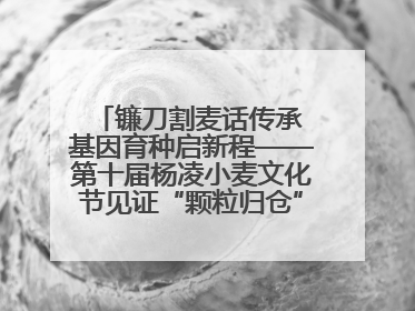 镰刀割麦话传承 基因育种启新程——第十届杨凌小麦文化节见证“颗粒归仓”时空跨越