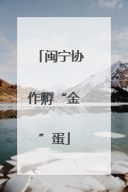 闽宁协作孵“金”蛋