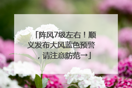 阵风7级左右！顺义发布大风蓝色预警，请注意防范→