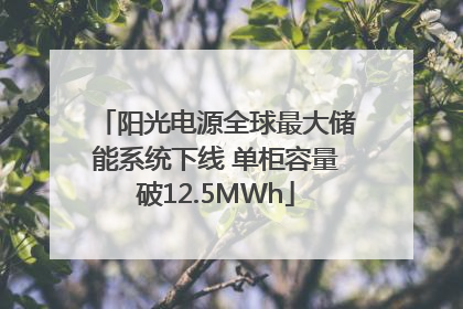 阳光电源全球最大储能系统下线 单柜容量破12.5MWh