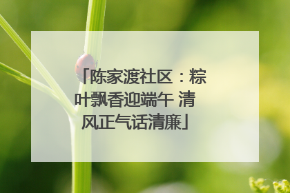 陈家渡社区：粽叶飘香迎端午 清风正气话清廉
