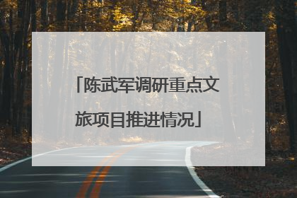 陈武军调研重点文旅项目推进情况