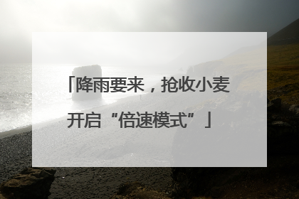 降雨要来，抢收小麦开启“倍速模式”