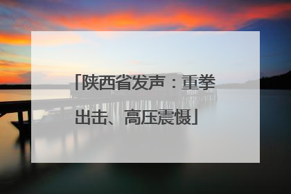 陕西省发声：重拳出击、高压震慑