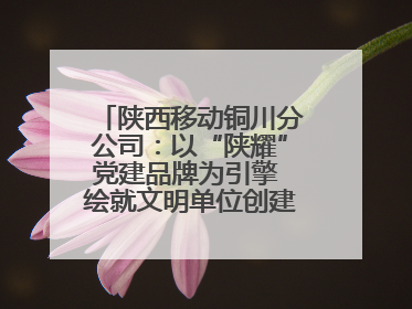 陕西移动铜川分公司：以“陕耀”党建品牌为引擎 绘就文明单位创建新画卷——全国文明单位创建纪实