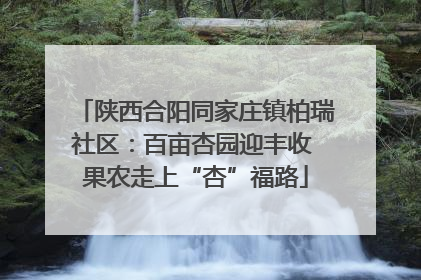 陕西合阳同家庄镇柏瑞社区：百亩杏园迎丰收 果农走上“杏”福路