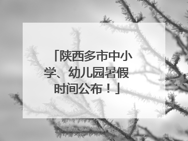 陕西多市中小学、幼儿园暑假时间公布！