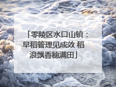 零陵区水口山镇：早稻管理见成效 稻浪飘香穗满田