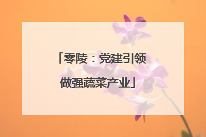 零陵：党建引领 做强蔬菜产业