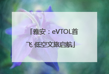 雅安：eVTOL首飞 低空文旅启航