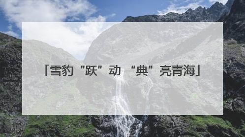雪豹“跃”动 “典”亮青海